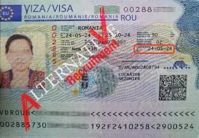 WhatsApp Image 2024-05-31 at 16.57.54_e4007926 - Finance. Alternative Recruitment_100_11zon