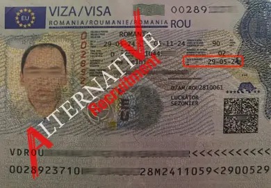 WhatsApp Image 2024-06-11 at 19.15.18_56f85da2 - Finance. Alternative Recruitment_15_11zon